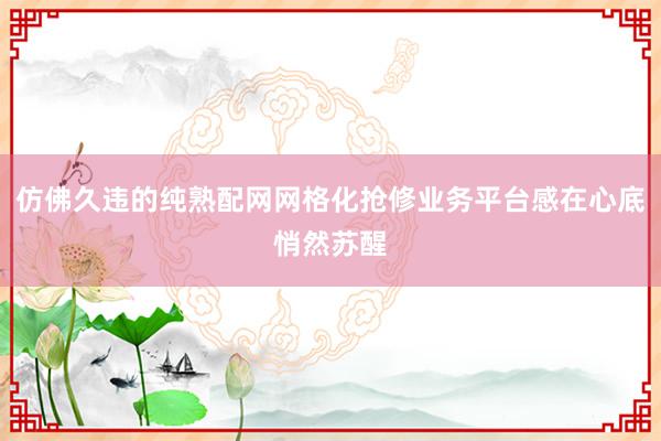 仿佛久违的纯熟配网网格化抢修业务平台感在心底悄然苏醒
